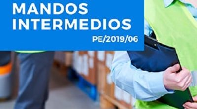Necesidades formativas de mandos intermedios de las empresas y pymes en C-LM