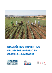 Lee más sobre el artículo Diagnóstico preventivo del sector agrario en Castilla-La Mancha
